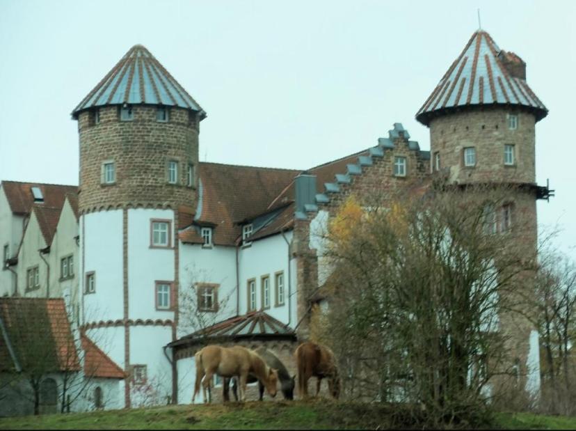 Luxus Appartement Im Schloss Fockelberg Eksteriør billede